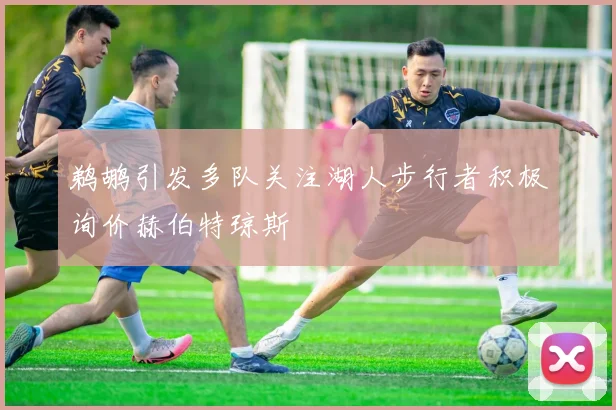 鹈鹕引发多队关注湖人步行者积极询价赫伯特琼斯