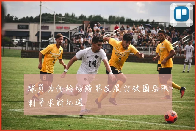 球员为何纷纷跨界发展打破圈层限制寻求新机遇